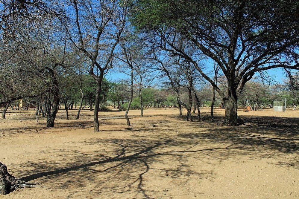 Harnas Wildlife Foundation Gobabis Esterno foto